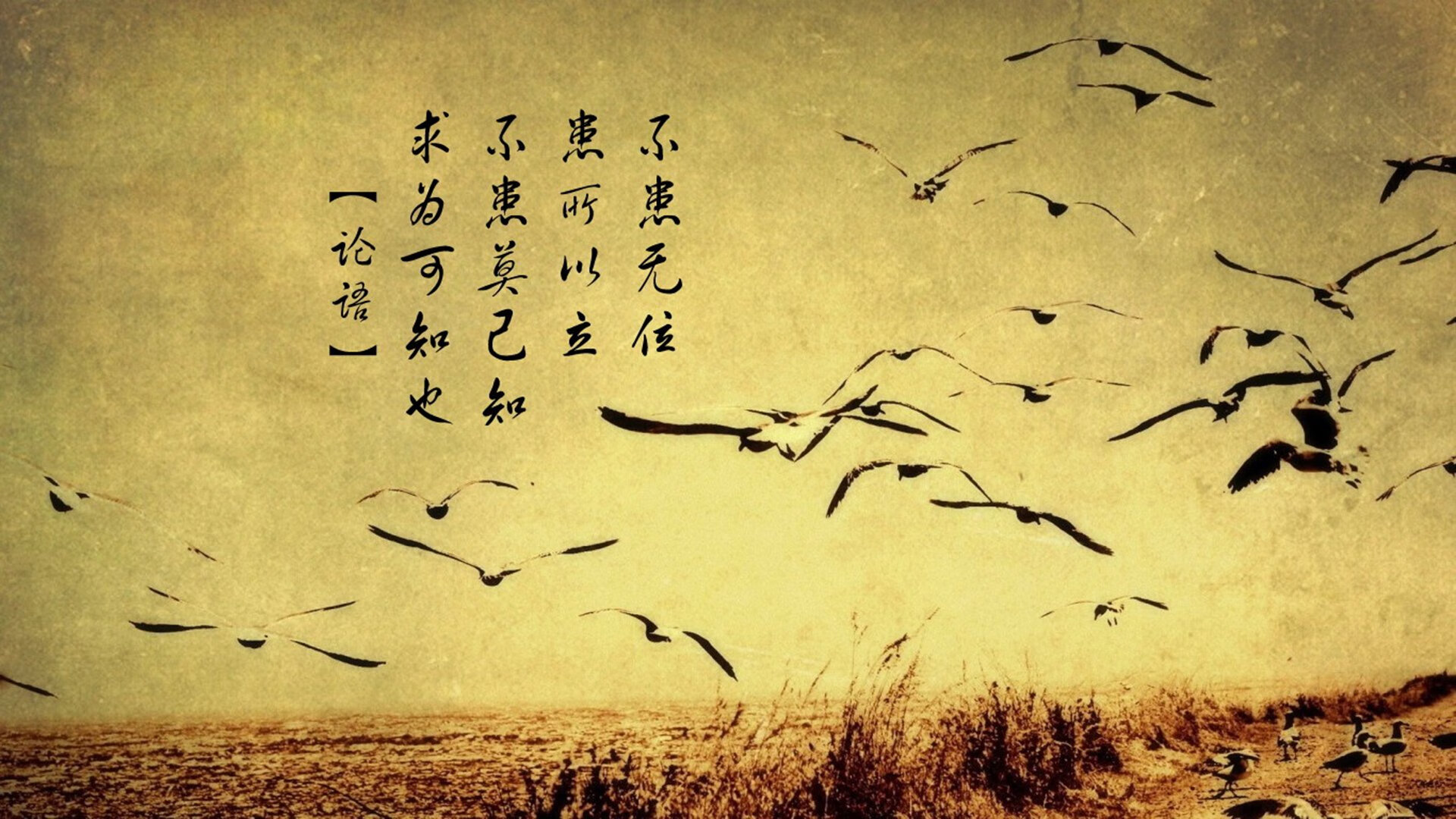 F1新赛季揭幕战，摩纳哥新星强势晋级，巴黎赛道能否见证新王诞生？