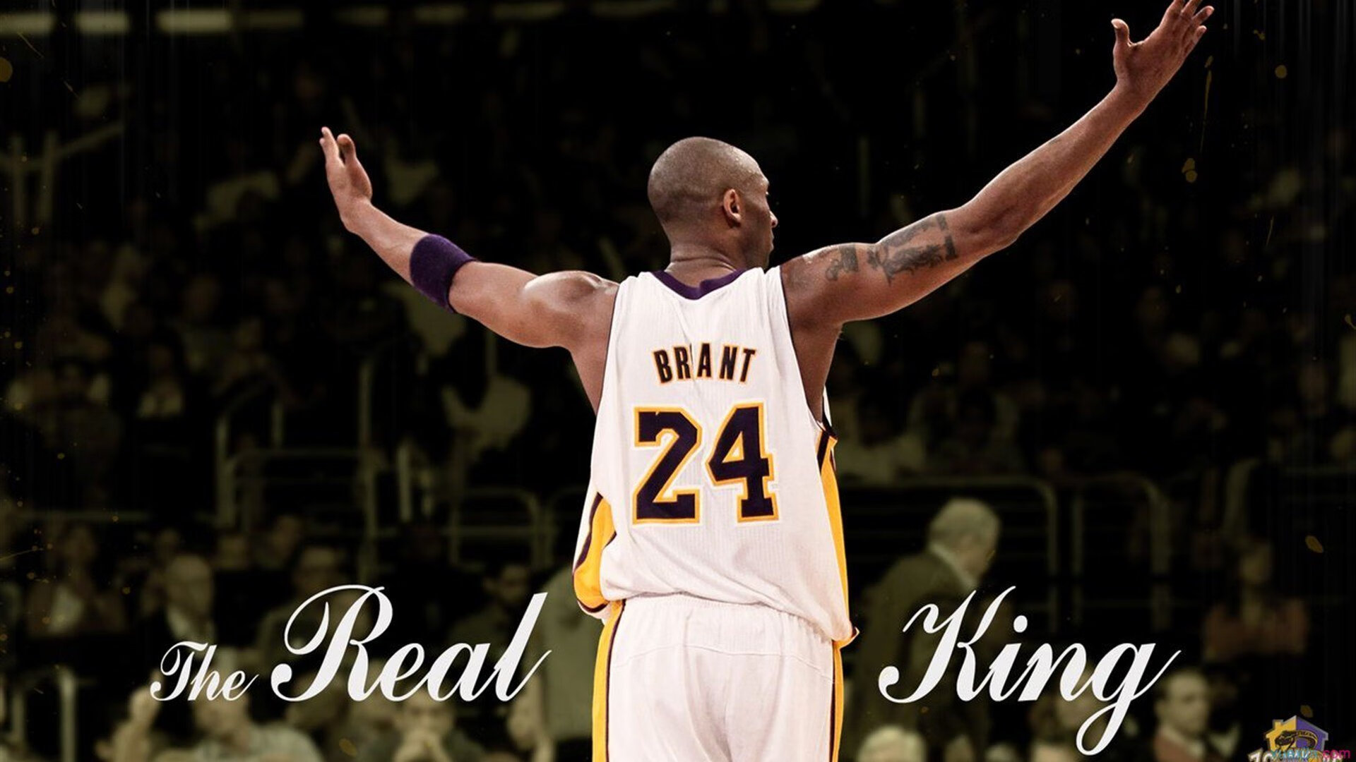 上海队提前终结悬念，西亚卡姆成为关键先生